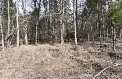 Welcome to 7.93 breathtaking acres in Poplar Ridge Subdivision - photo 12
