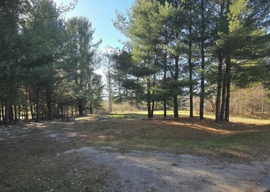 Lake Lot For Sale in Gladwin, Michigan