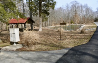 Welcome to 7.93 breathtaking acres in Poplar Ridge Subdivision - photo 4