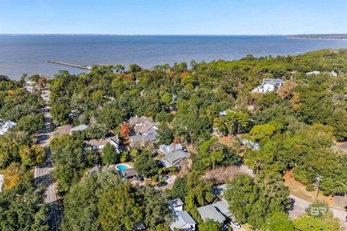 Historic Fairhope Cottage in the Fruit & Nut District - Walk to - photo 33