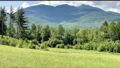 (private lake, pond, creek) Acreage For Sale in Cambridge Vermont