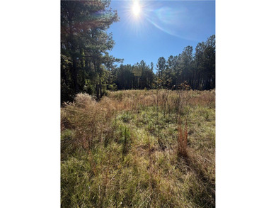 Lake Secession Acreage For Sale in Abbeville South Carolina