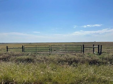 (private lake, pond, creek) Acreage For Sale in Sentinel Oklahoma