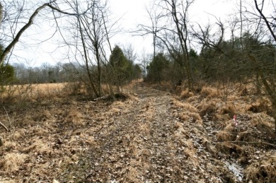 Welcome to 7.93 breathtaking acres in Poplar Ridge Subdivision - photo 8