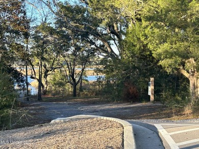 Welcome to luxury-inspired living at Ocean Springs' Inlet - photo 50
