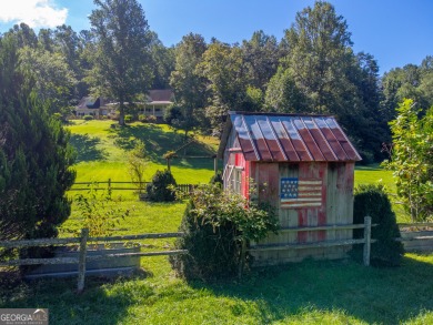 Lake Home For Sale in Clayton, Georgia
