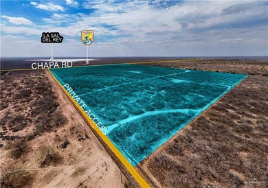 (private lake, pond, coastal) Acreage For Sale in Edinburg Texas