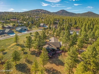 Fantastic 3 bed, 2.5 bath true log cabin on 1.1 acres in - photo 13