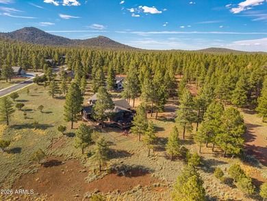 Fantastic 3 bed, 2.5 bath true log cabin on 1.1 acres in - photo 14