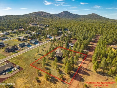 Fantastic 3 bed, 2.5 bath true log cabin on 1.1 acres in - photo 15