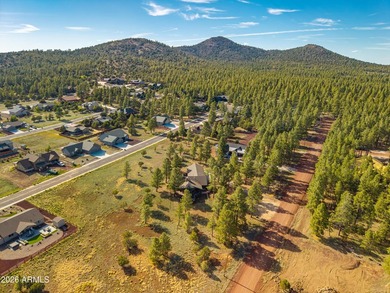 Fantastic 3 bed, 2.5 bath true log cabin on 1.1 acres in - photo 16