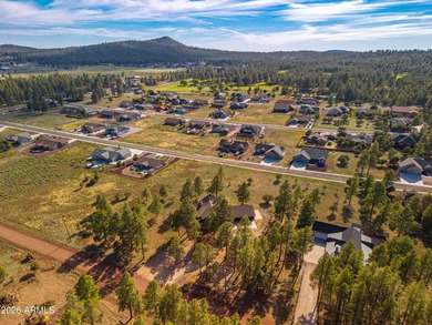 Fantastic 3 bed, 2.5 bath true log cabin on 1.1 acres in - photo 18