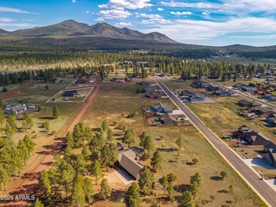 Fantastic 3 bed, 2.5 bath true log cabin on 1.1 acres in - photo 19