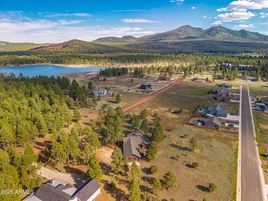 Fantastic 3 bed, 2.5 bath true log cabin on 1.1 acres in - photo 20