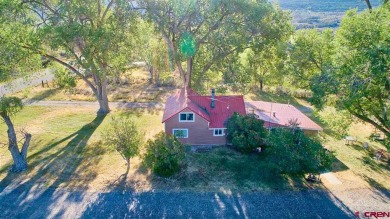 (private lake, pond, creek) Home For Sale in Cedaredge Colorado