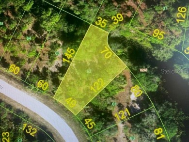 (private lake, pond, creek) Lot For Sale in Punta Gorda Florida