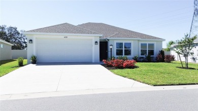Lake Home For Sale in The Villages, Florida