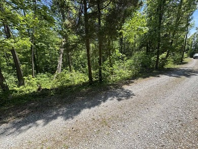 This 0.94+/- acre, wooded lot offers privacy and natural beauty - photo 11