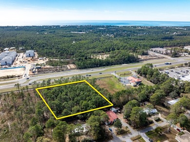 NEW LISTING of Prime Commercial Vacant Land in Santa Rosa Beach - photo 3