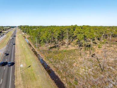 NEW LISTING of Prime Commercial Vacant Land in Santa Rosa Beach - photo 10