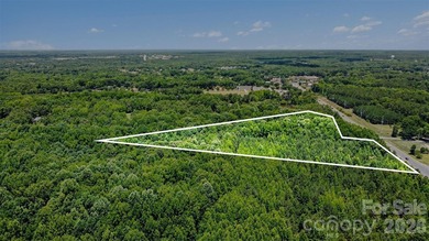 Rare opportunity to own approximately 4.37 acres in one of Union - photo 2