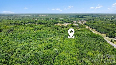 Rare opportunity to own approximately 4.37 acres in one of Union - photo 3