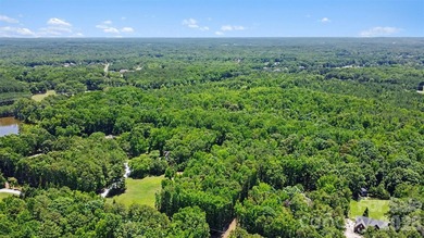 Rare opportunity to own approximately 4.37 acres in one of Union - photo 4