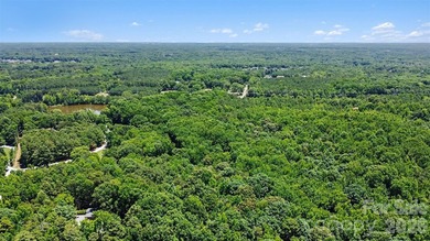 Rare opportunity to own approximately 4.37 acres in one of Union - photo 6