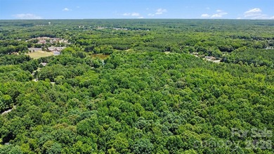 Rare opportunity to own approximately 4.37 acres in one of Union - photo 8