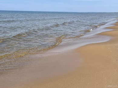 Lake Michigan - Schoolcraft County Acreage For Sale in Gulliver Michigan