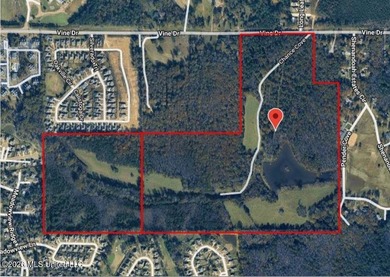 Discover a rare opportunity in the heart of the Brandon 39047 - photo 2