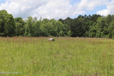 Discover a rare opportunity in the heart of the Brandon 39047 - photo 3