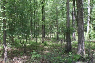 Discover a rare opportunity in the heart of the Brandon 39047 - photo 4