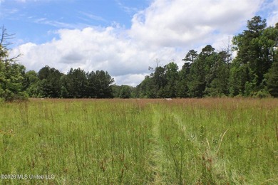 Discover a rare opportunity in the heart of the Brandon 39047 - photo 5