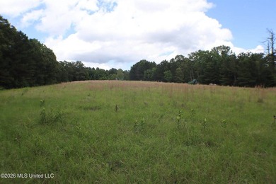 Discover a rare opportunity in the heart of the Brandon 39047 - photo 6