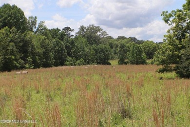 Discover a rare opportunity in the heart of the Brandon 39047 - photo 7
