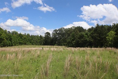 Discover a rare opportunity in the heart of the Brandon 39047 - photo 9