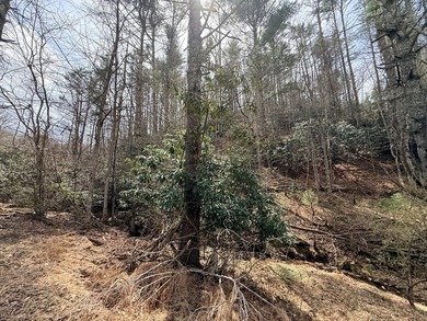 12 acres of private wooded land conveniently located right in - photo 11