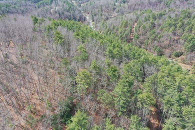 12 acres of private wooded land conveniently located right in - photo 15