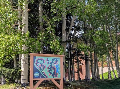 Frisco's best-kept secret sits tucked behind a canopy of aspens - photo 33
