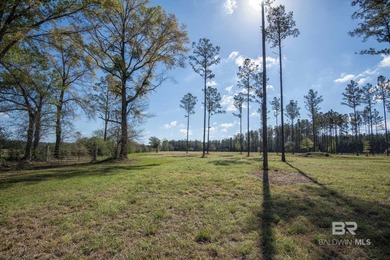 Cleared, unzoned, and full of potential, this beautiful 10-acre - photo 3