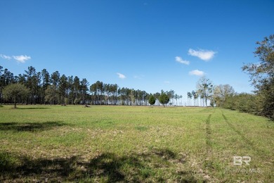 Cleared, unzoned, and full of potential, this beautiful 10-acre - photo 5