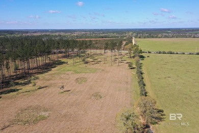 Cleared, unzoned, and full of potential, this beautiful 10-acre - photo 8