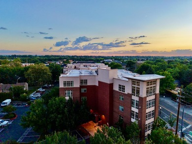 Experience one of downtown Boise's most exceptional condominium - photo 6