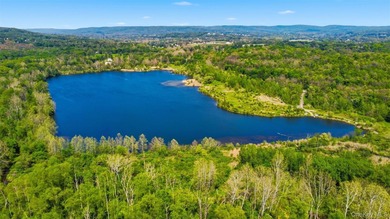 The Springs at Beekman is a fully approved, shovel-ready 199-lot - photo 3