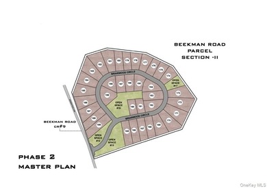 The Springs at Beekman is a fully approved, shovel-ready 199-lot - photo 6