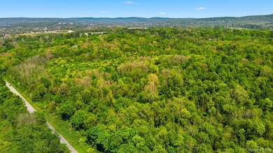The Springs at Beekman is a fully approved, shovel-ready 199-lot - photo 10