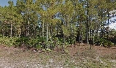 Lehigh Acres Area Lot For Sale in Lehigh Acres Florida
