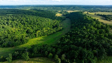 The Stansberry Creek Ranch is located just 10 miles south of - photo 59