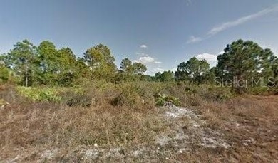 Lehigh Acres Area Lot For Sale in Lehigh Acres Florida